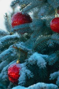 Delicias de Candy Cane Lane - Imagen 2