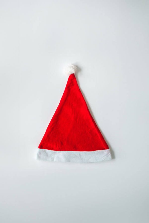 Sabueso navideño y armonía humana